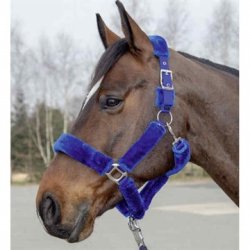 Grime Well Style med Teddy lam